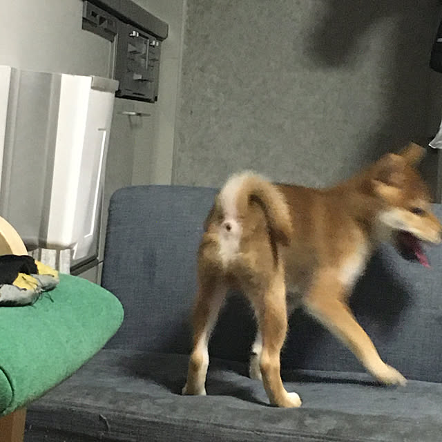 luckyさんの実例写真