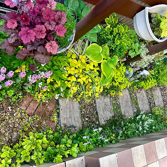 hinamamaさんの部屋