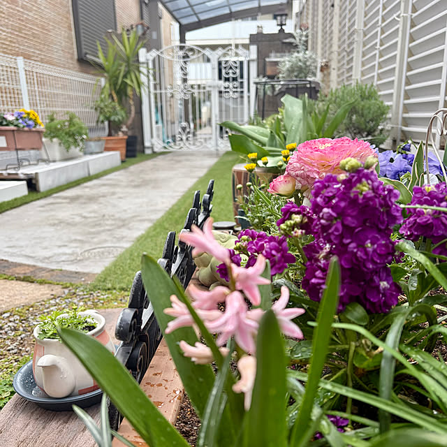 puriyuzuさんの実例写真