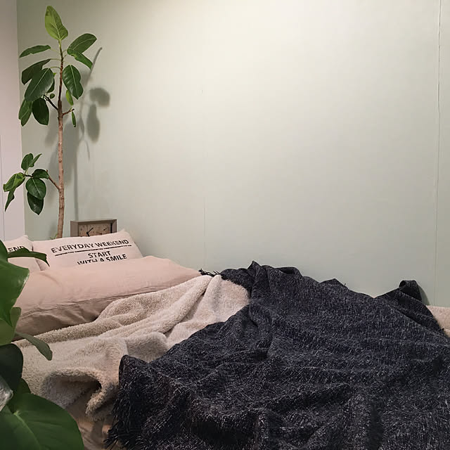 akezouさんの実例写真