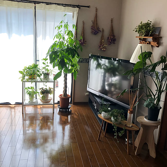 himetanさんの実例写真