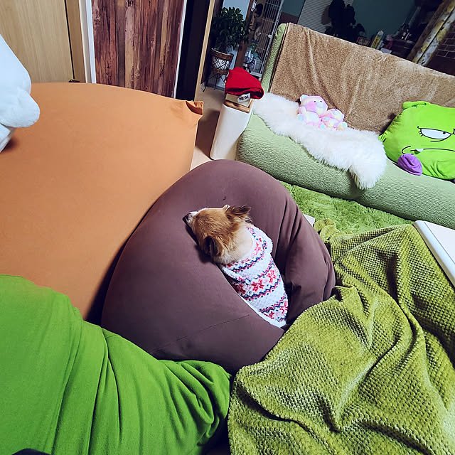 kyokomamaさんの実例写真