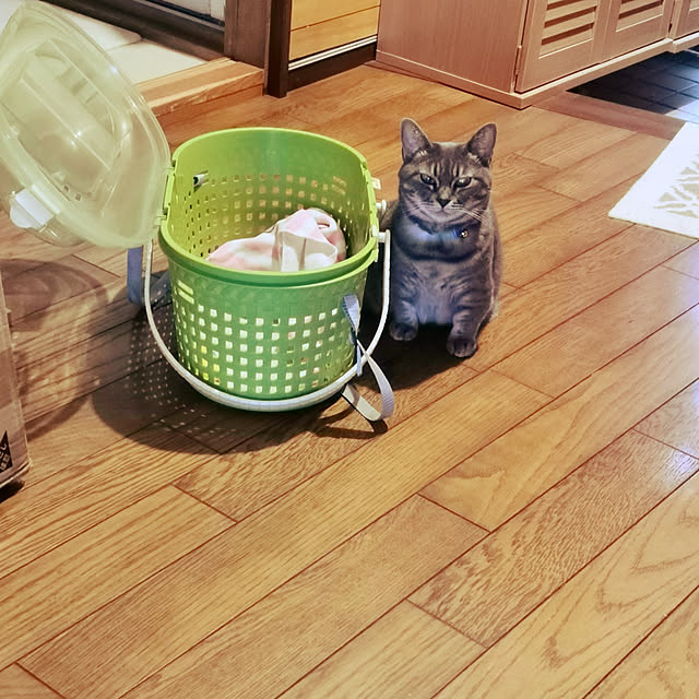 yuukiさんの実例写真
