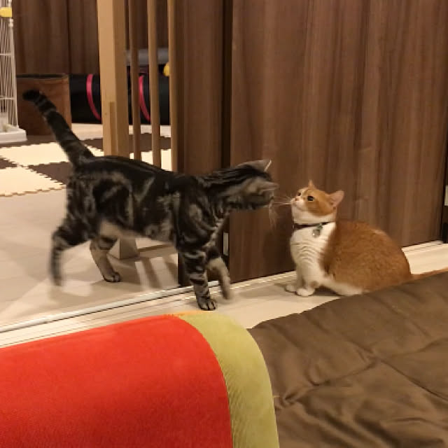 KotarouKunさんの実例写真
