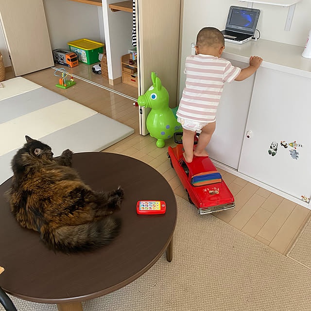 mikomaruさんの実例写真