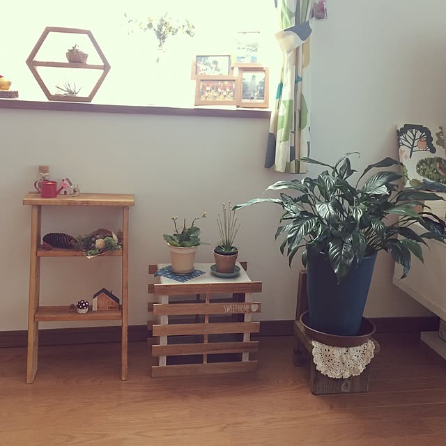 ayayayayaさんの実例写真