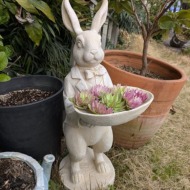 nao-nさんの実例写真