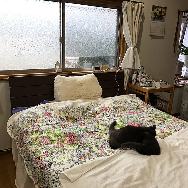 daikichiさんの実例写真