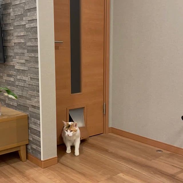 ikuzakさんの実例写真