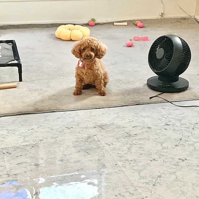 MOMOMAMAさんの部屋