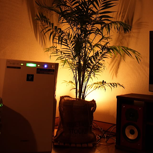 eisukeさんの実例写真