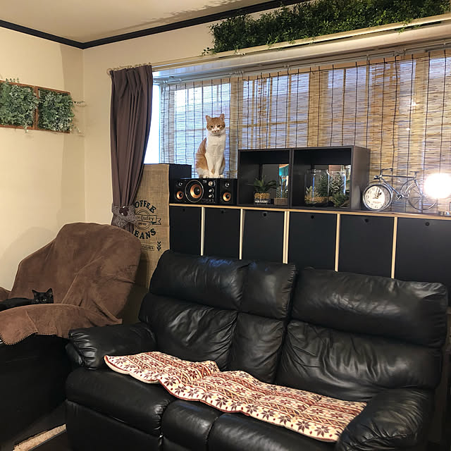 tomiさんの実例写真