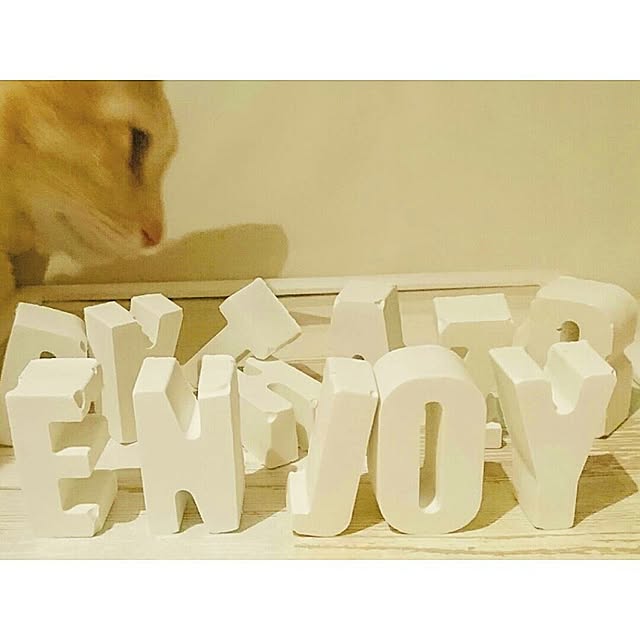Yukaさんの実例写真
