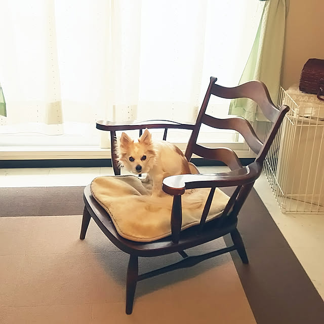 nonさんの実例写真
