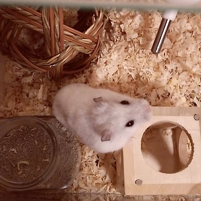 Esさんの実例写真
