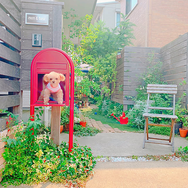 risaさんの実例写真