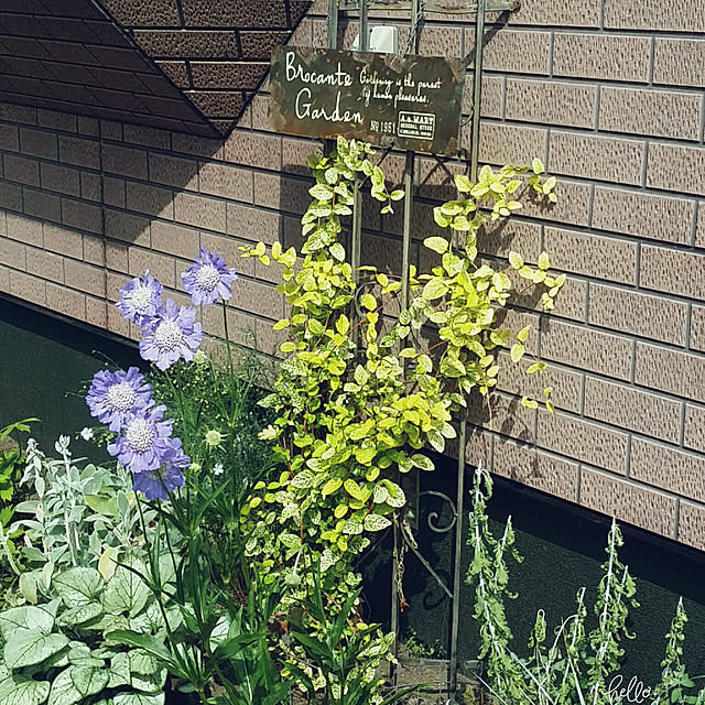 Minaharuさんの実例写真