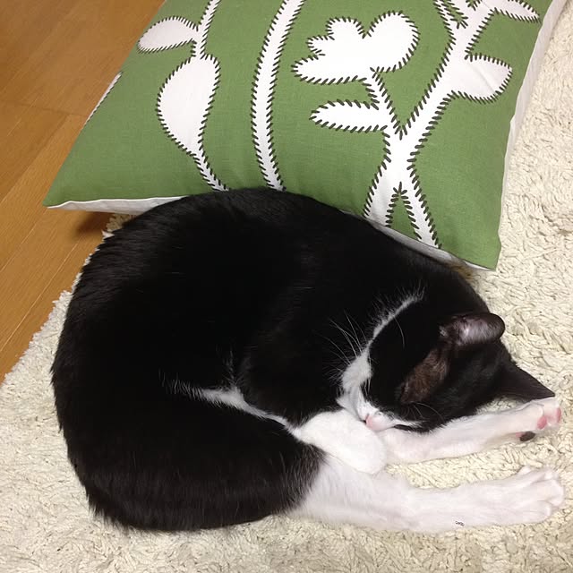 Kinanさんの実例写真