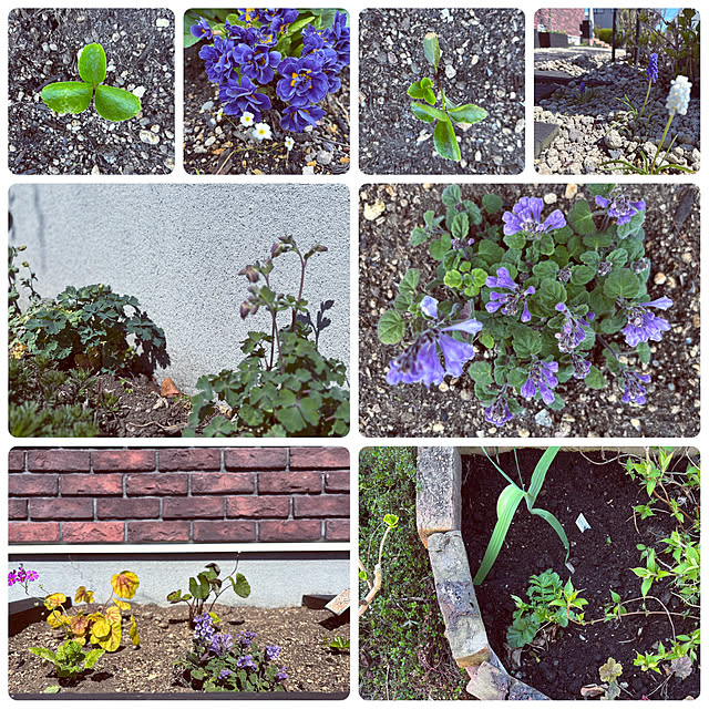 usagiさんの部屋