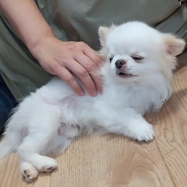 kuuさんの実例写真
