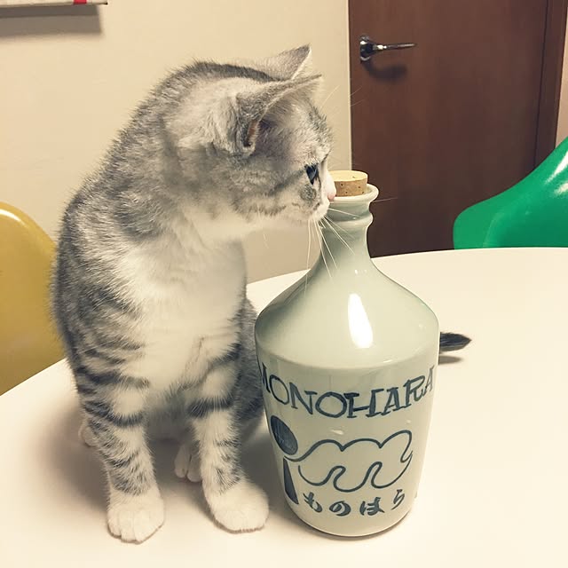 Shojiさんの実例写真
