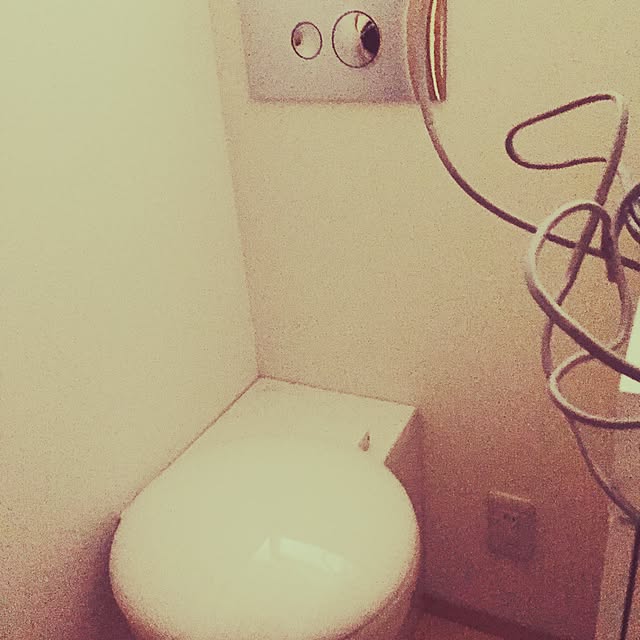 minoriさんの実例写真