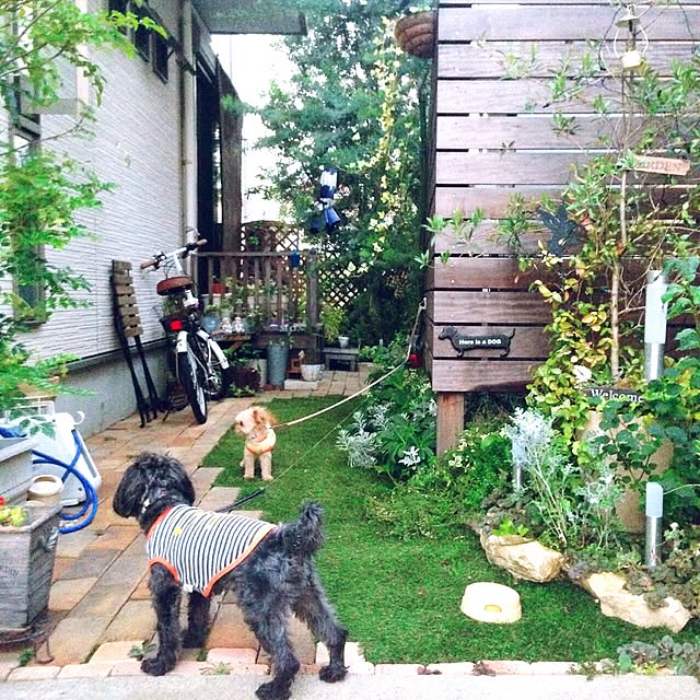 risaさんの実例写真