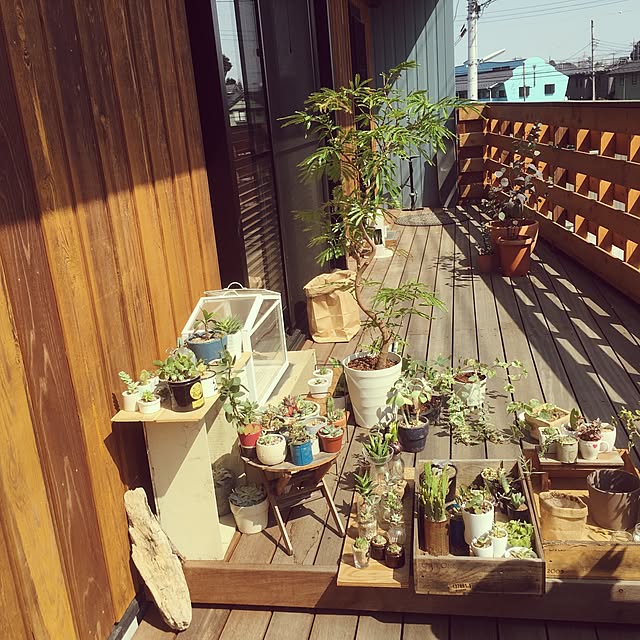ymさんの実例写真