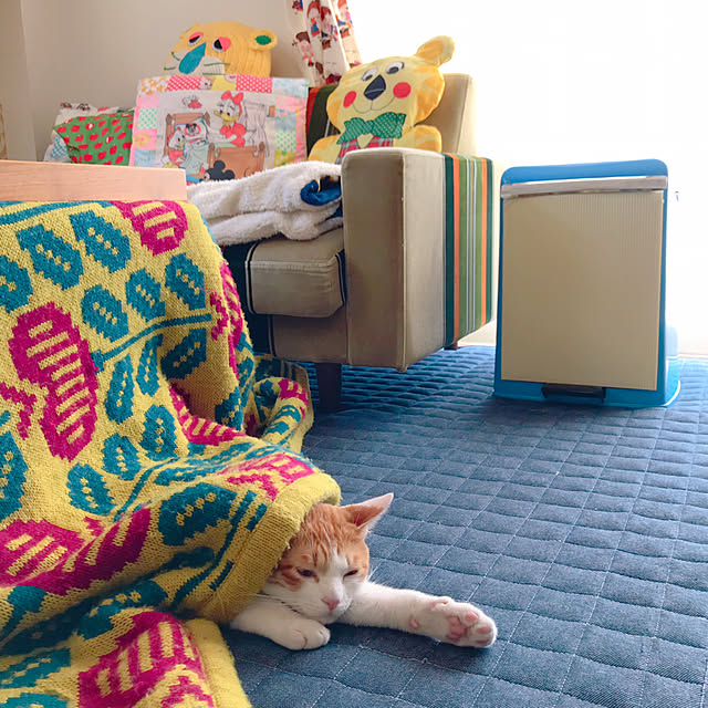 meさんの実例写真