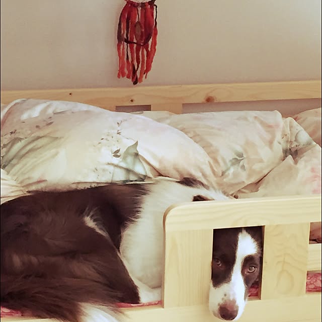 405.mさんの実例写真
