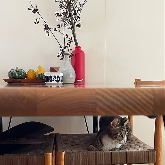 nobikoさんの実例写真