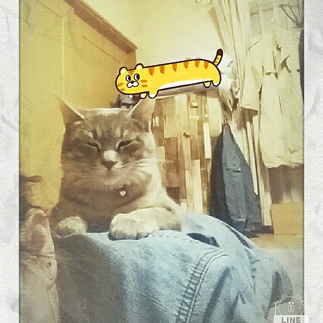 oyumiさんの実例写真