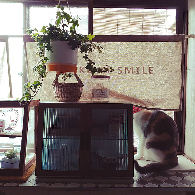 fukuさんの実例写真