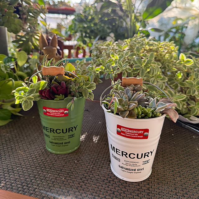 Aqettyさんの部屋