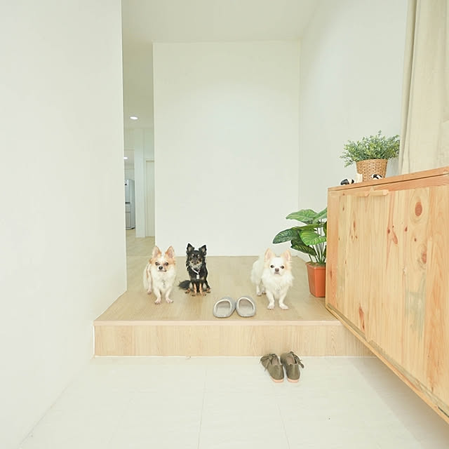 実例写真