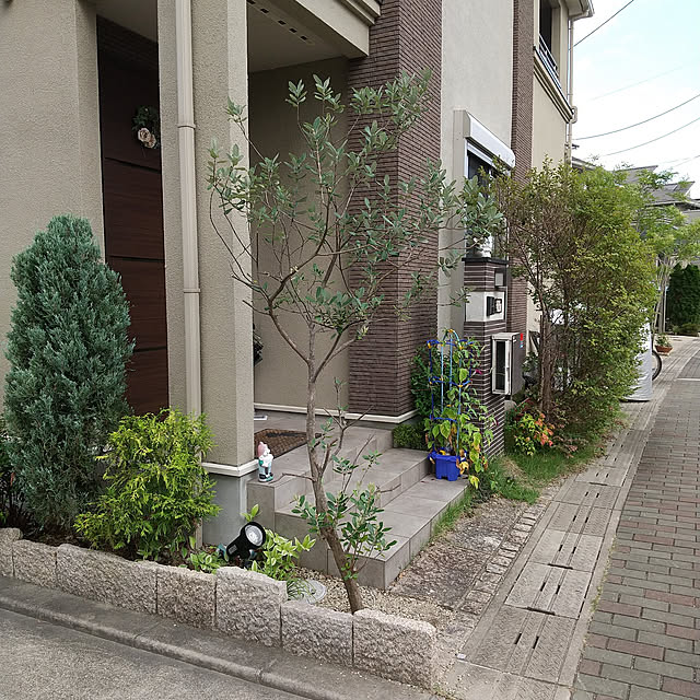 ai-nyanko.さんの実例写真