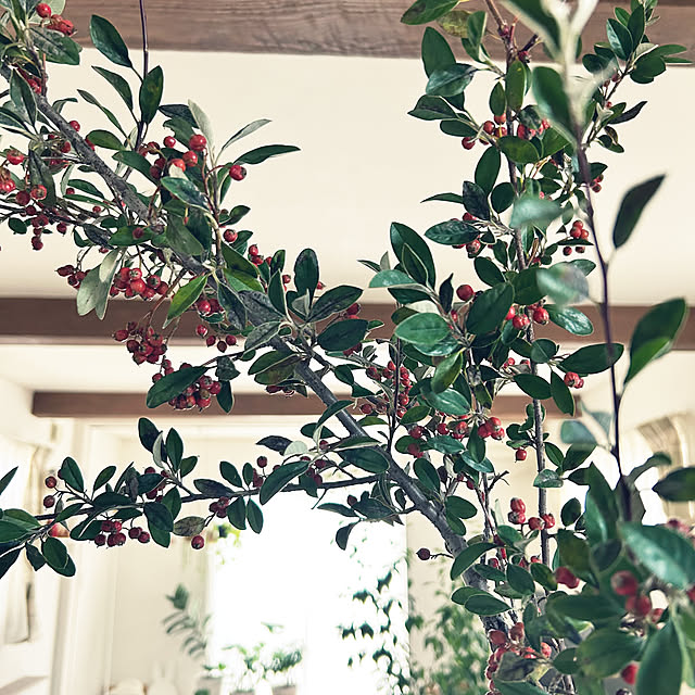 asasouさんの部屋