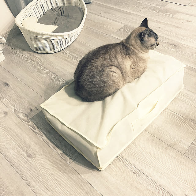 mieさんの実例写真