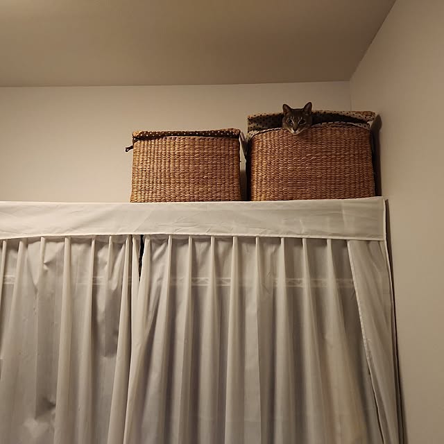 yukiさんの実例写真