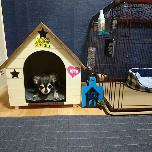 lovepeaceさんの実例写真