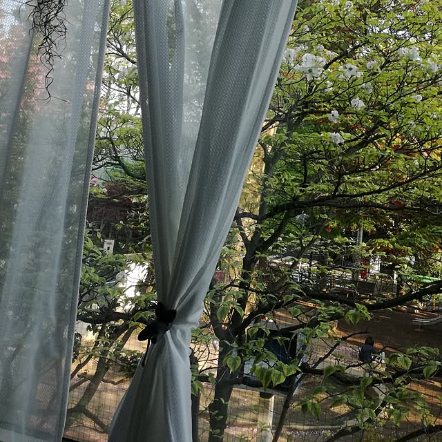 flower2catsさんの実例写真
