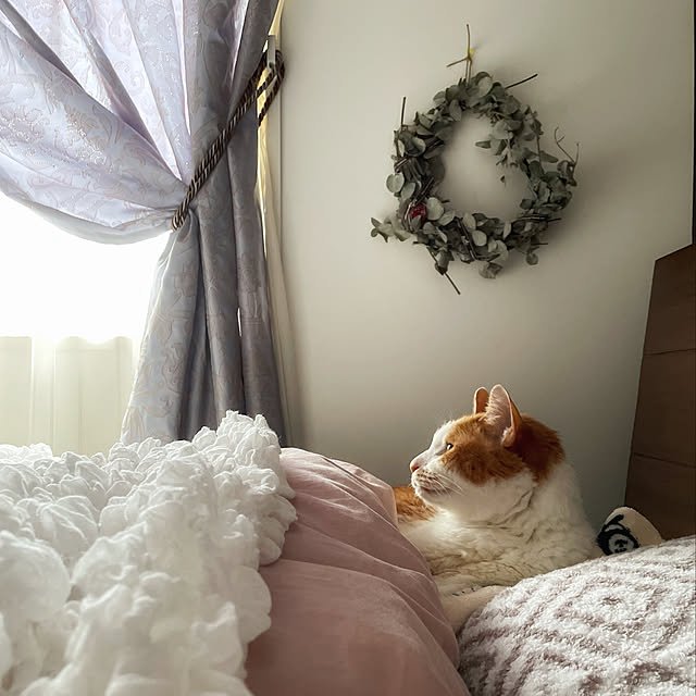 miruさんの実例写真