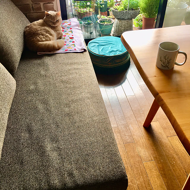 naokoさんの部屋