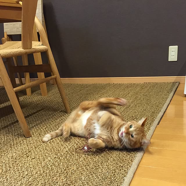 hanaさんの実例写真