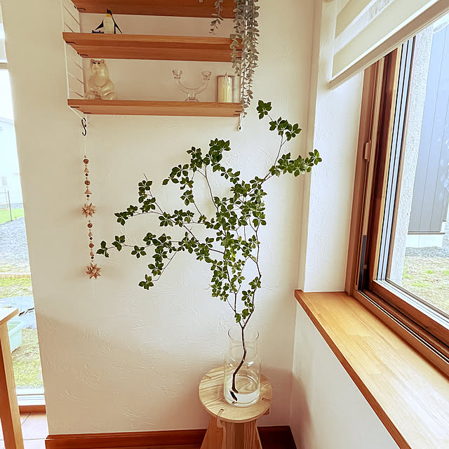 ouchi_no_hanashiさんの実例写真