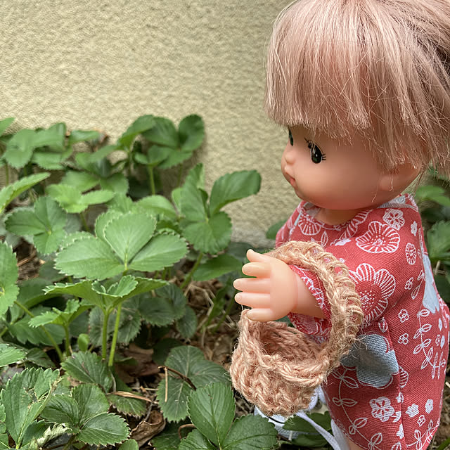 manduonmaさんの実例写真