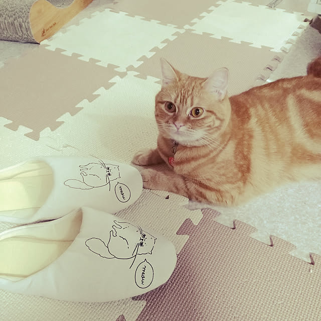 fruityanさんの実例写真