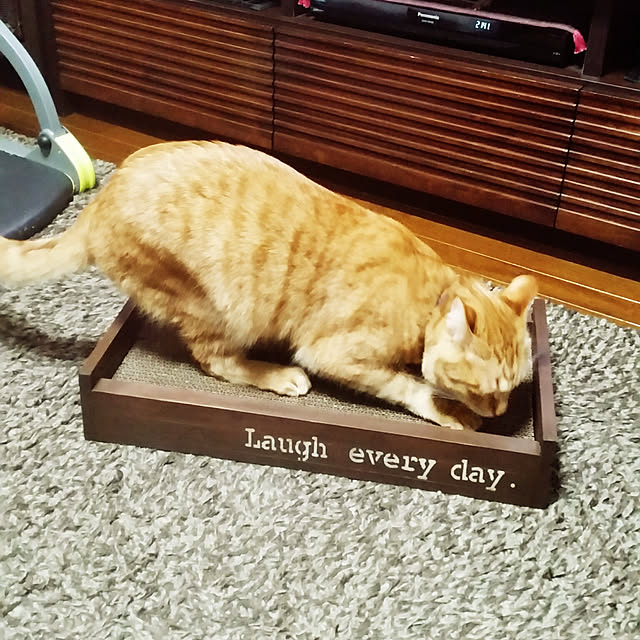 kichiさんの実例写真