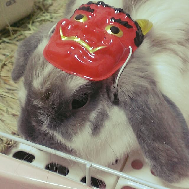 COROLさんの実例写真