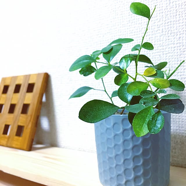 kmkhamoさんの実例写真